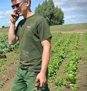 Dawid: Groente Bemarking